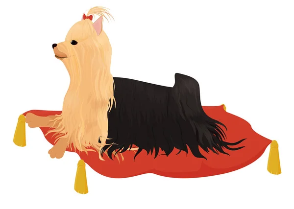 白い枕の上に孤立敷設赤い弓とヨークシャーのテリア ベクトル漫画イラストの休憩小犬 — ストックベクタ