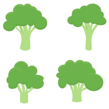 Brokoli beyaz arka planda izole edilmiş. Düz biçimli yeşil taze sebzenin vektör çizimi.