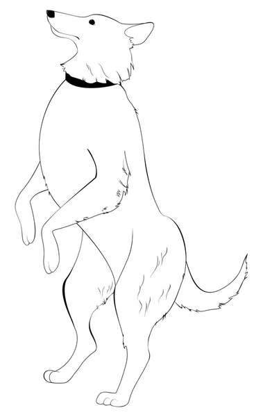 Perro de pie sobre patas traseras — Archivo Imágenes Vectoriales