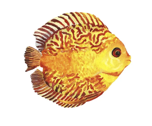 Aquarell tropische Fische — Stockvektor