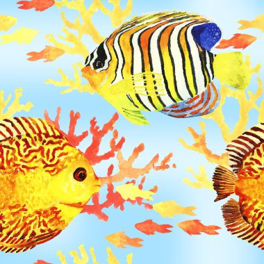 Tropik balıklar sorunsuz