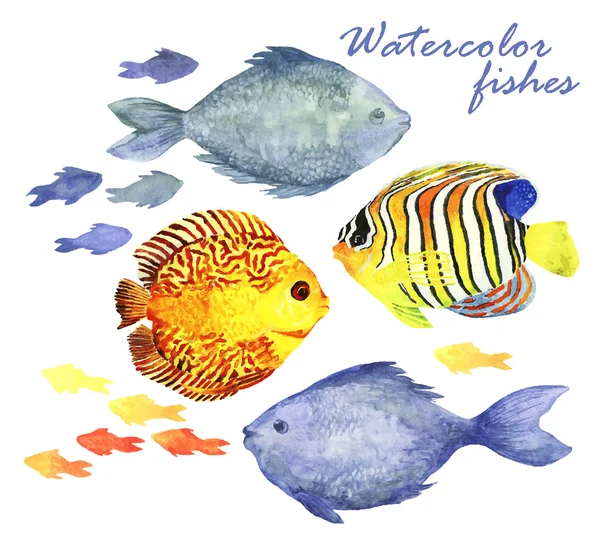 Ensemble de poissons aquarelle — Image vectorielle