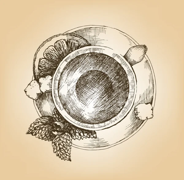 Чашка чая с мятой и лимоном — стоковый вектор