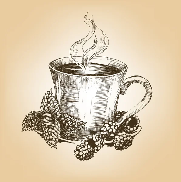 Xícara de chá com hortelã e framboesas —  Vetores de Stock