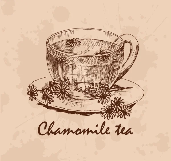 Cup of chamomile tea — Stock Vector