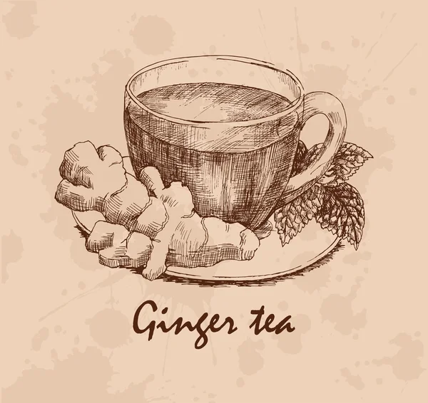 生姜茶の手描きのカップ — ストックベクタ