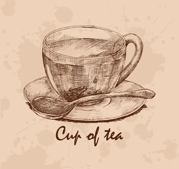 Taza de té dibujada a mano — Archivo Imágenes Vectoriales