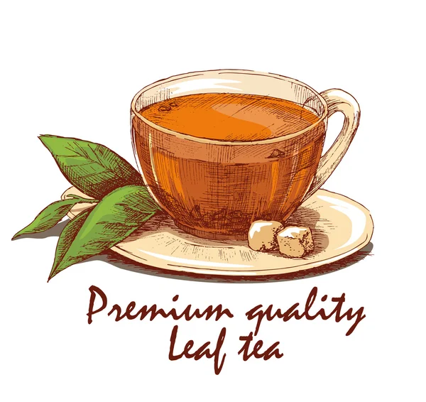 Χρωματισμένα χέρι συντάσσονται φλιτζάνι τσάι σε φύλλα — Διανυσματικό Αρχείο