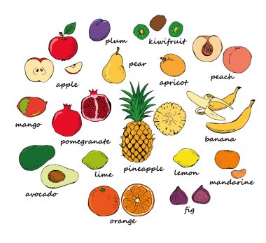 Renk meyve doodle seti