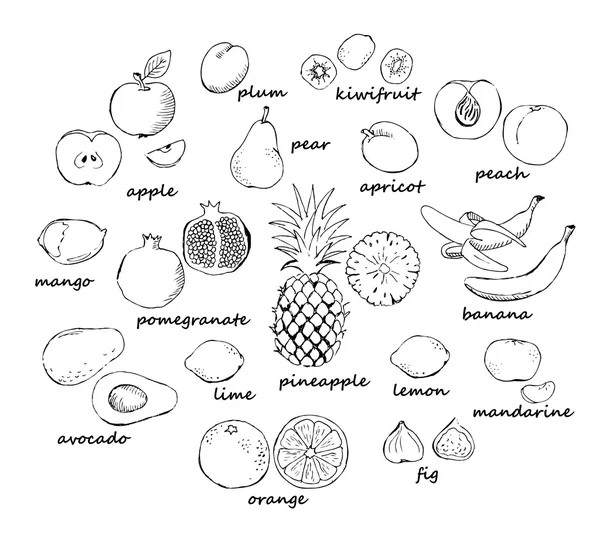 과일 낙서 세트 — 스톡 벡터