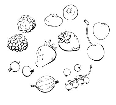 Berries doodles outline clipart