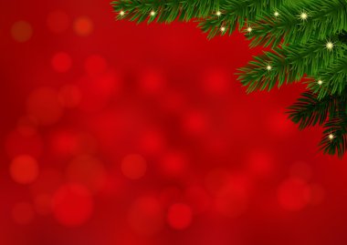 Red background with fir branch