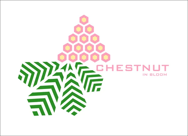 Kestane logo tasarım şablonu çiçeklenme — Stok Vektör