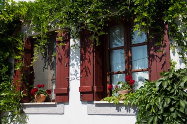 Renkli ahşap windows