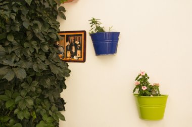 Duvardaki dekoratif saksı