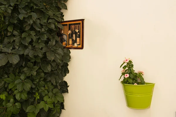 Maceta ornamental en la pared — Foto de Stock