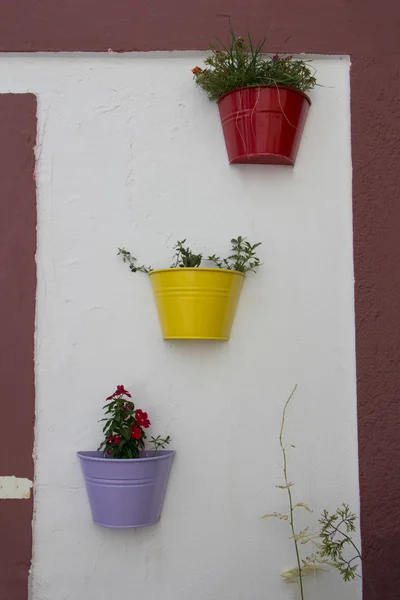 Ornamental flowerpot on the wall — Stock Photo, Image