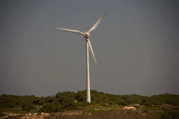 Clean and natural energy wind turbines