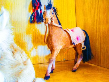 Ivır zıvır at eli hatıra olsun diye eyer ve bakım yapıldı.