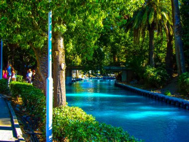 Güvercin heykeli beyaz güvercin beyaz sütun sokak arabaları palmiye ağaçları