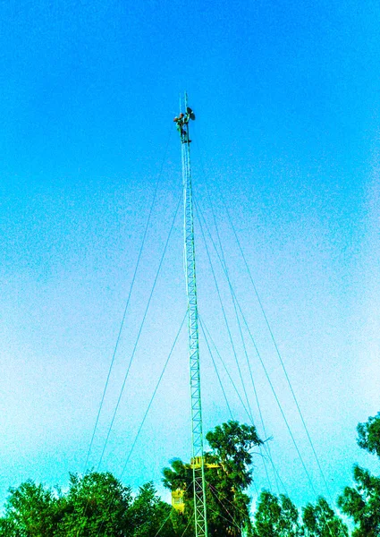 Antenna Árboc Javítás Egy Ember Mászás Veszélyes Túl Magas — Stock Fotó