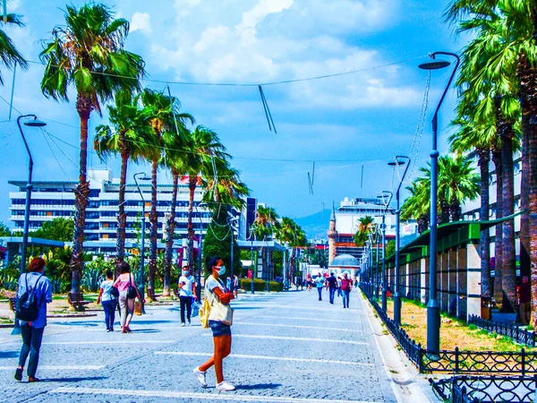Şehir Manzarası Palmiye Ağaçları Açık Hava — Stok fotoğraf