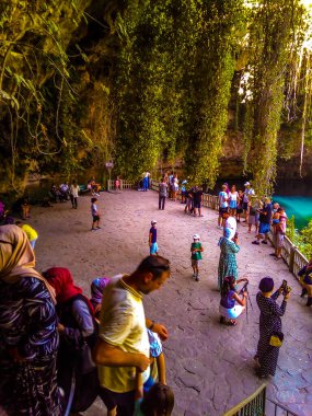 Kamp çadırı orman yeşil ağaçlar açık hava karavanı