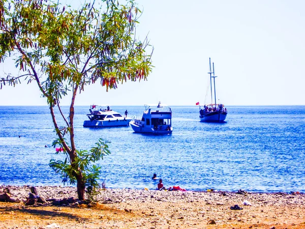 Littoral Bateaux Sable Galets Arbre Été Temps Clair Mer Claire — Photo