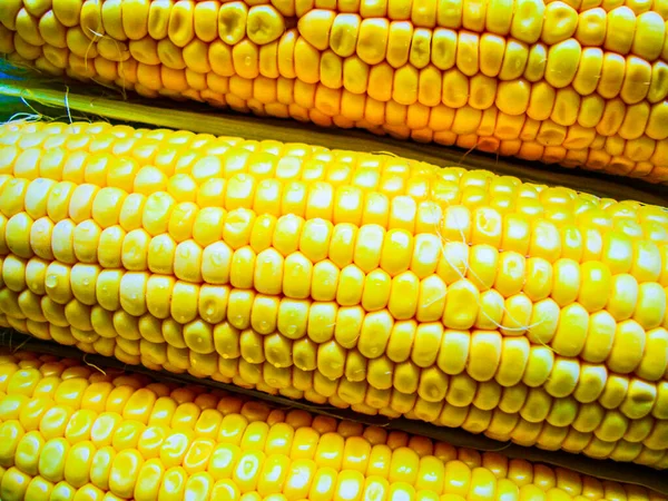 Сладкая Кукуруза Вкусные Белые Желтые Кукурузы Пшеницы — стоковое фото