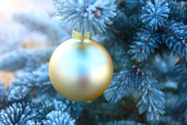 Zlatá Vánoční Hračka Váží Modrozelené Větvi Pokryté Sněhem — Stock fotografie