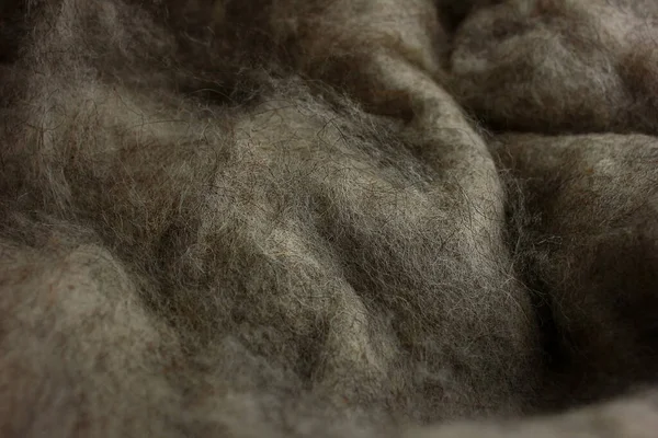 天然羊毛作调味之用 免版税图库图片