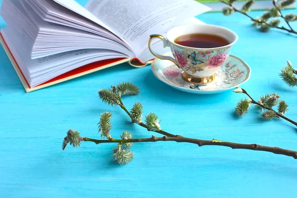 Столе Открытая Книга Киска Ива Кружка Блюдцем Чая — стоковое фото