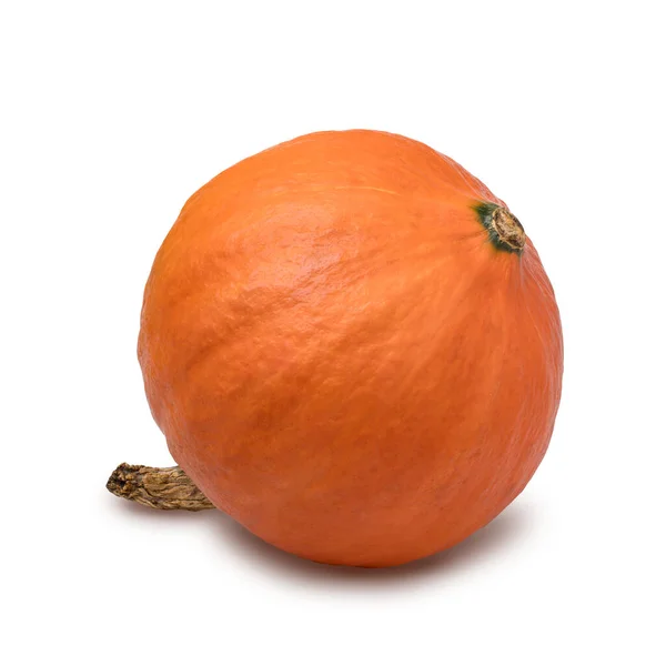 Orange Kürbis Isoliert Auf Weißem Hintergrund Mit Clipping Pfad — Stockfoto
