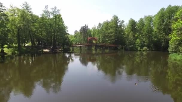 Vuelo Sobre Lago Parque Voditsa Pushcha Puente Sobre Lago — Vídeos de Stock