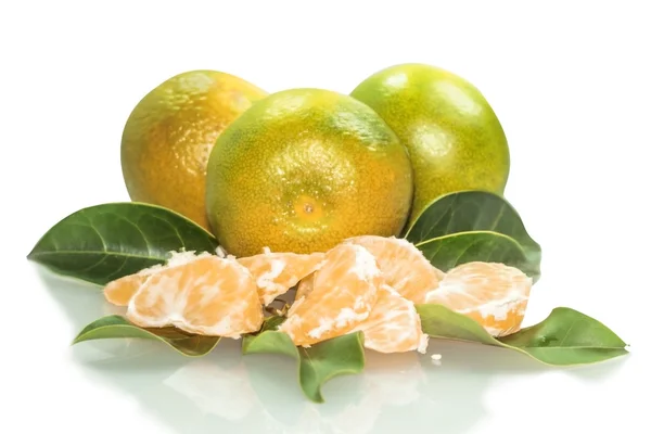 Grön och gul mandariner — Stockfoto