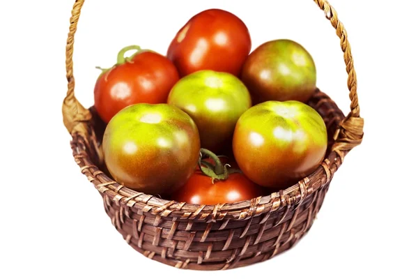 Tomatoes green and red — Stock Photo, Image