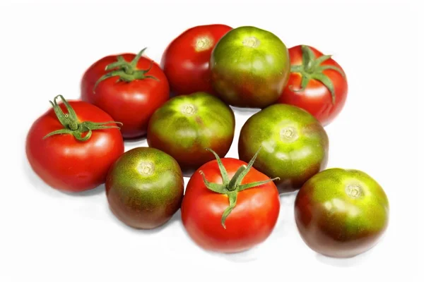 녹색, 빨간색 토마토 — 스톡 사진