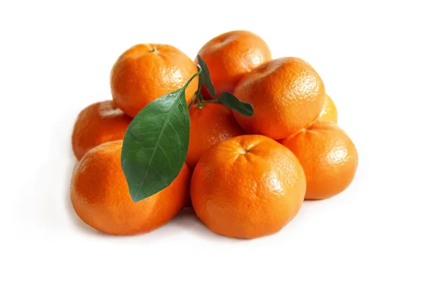 Tangerine på en vit bakgrund — Stockfoto
