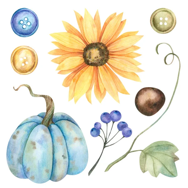 Watercolor Elements Design Pumpkin Blue Berries Branch Chestnut Buttons Sunflower — Stock Photo, Image