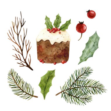 Bitmeyen çam ağacının farklı dallarından suluboya kış elementleri, yeşil ökseotu yaprakları, yapraksız dallar ve kızılcık çizmek ya da tamamlamak için yeni yıl pastası.