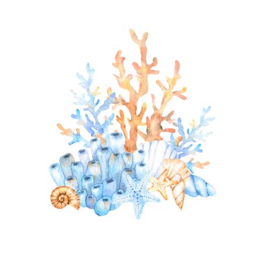 Mercan, denizyıldızı, mavi ve bej renkte renkli deniz kabukları içeren deniz suluboya bileşimi. Kartpostallar, posterler, kuponlar, bebek ürünleri, dekoratif kağıtlar için harika..