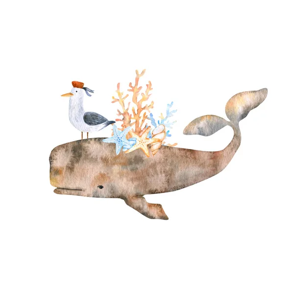 Tengeri Akvarell Összetétele Barna Sperma Bálna Színes Kagylók Korallok Sirály — Stock Fotó