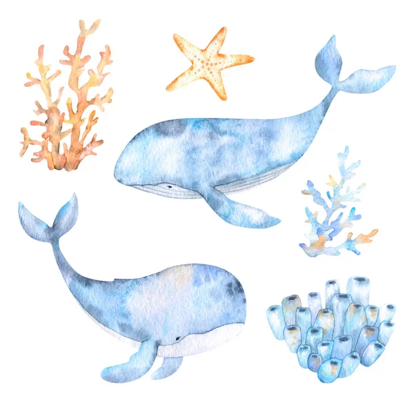 องค ประกอบท กบนธ มทางทะเล ปลาวาฬส าเง ดาวปลาและปะการ างๆในโทนส เบจและส าเง — ภาพถ่ายสต็อก