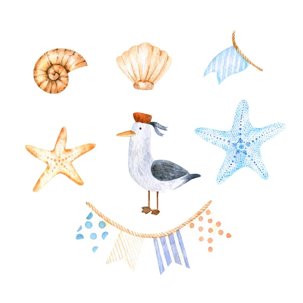 海洋主题上可爱的水彩元素 红色贝雷帽中的海鸥 各种海贝 海星以及设计 装饰和剪贴的旗帜 — 图库照片