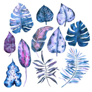 Ametist gölgesinde suluboya tropikal yapraklar. Dracaena, palmiye, incir yaprakları, muz yaprakları ve diğerleri tasarım, kumaş dekorasyonu, hurda kağıdı, çıkartmalar için..