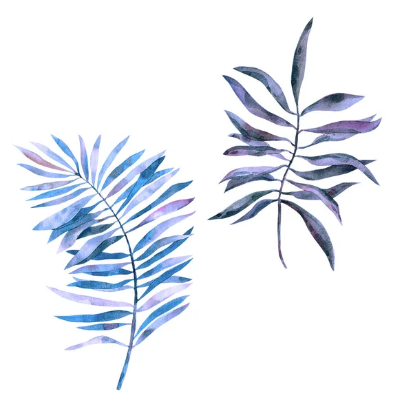 Akvarelové Tropické Listy Ametystovém Odstínu Palmové Listy Pro Design Textilní — Stock fotografie