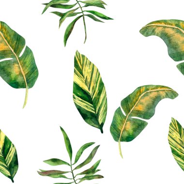 Yeşil canavar yapraklı kusursuz tropikal desen, filodendron, tasarım ve dekorasyon için muz yaprakları. Hurda kağıt, tekstil ve dekor için harika.