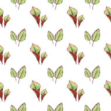 Kenarlarında yeşil yapraklar ve dizayn ve dekorasyon için kırmızı bordo kenarı olan kusursuz tropikal desenler. Temizlik kağıdı, tekstil, dekor için harika.