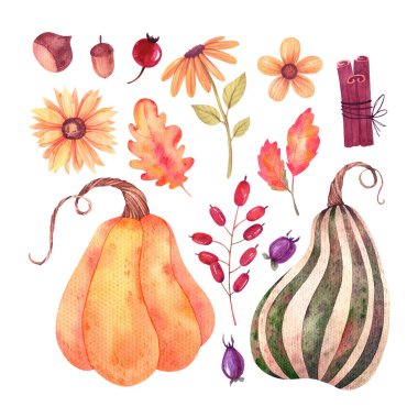 Mantarların suluboya elementlerinin sonbahar zirvesi, böğürtlen dalları ve gül kalçası, sonbahar yaprakları, ayçiçeği, çorap, anason, balkabağı, kalp, tasarım için dal