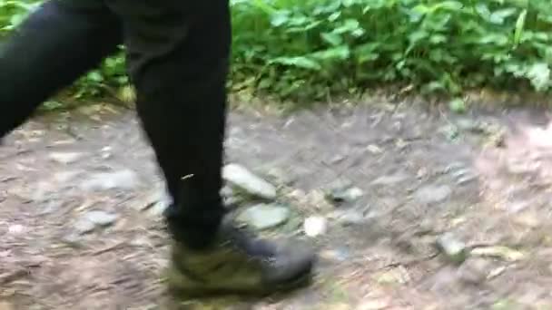 Carácter Irreconocible Caminando Suelo Del Bosque — Vídeos de Stock